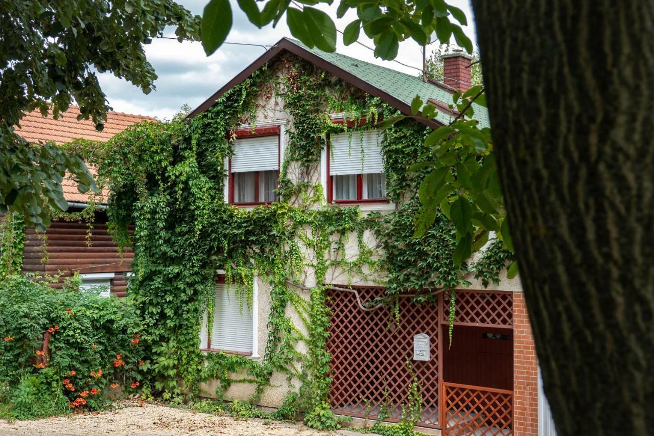Vadszolo Apartmanhaz Gyomaendrőd Exteriör bild