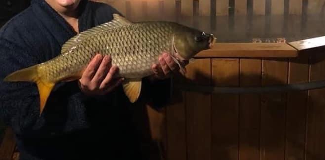 Vadszolo Apartmanhaz Gyomaendrőd Exteriör bild